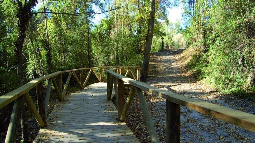 El Rincon De Las Higueras El Bosque Exterior foto